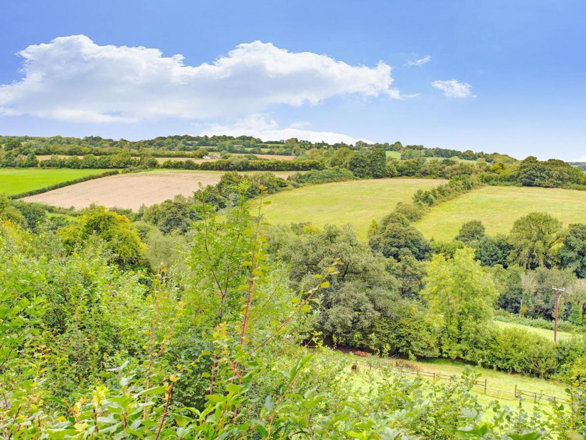 Hill View Holiday Home With Garden Taunton Eksteriør billede